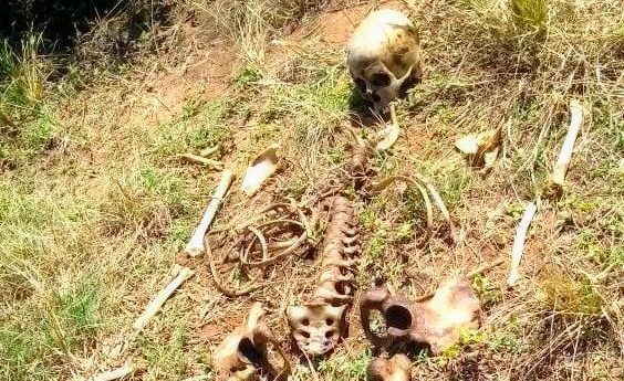 Polícia identifica ossada encontrada em fazenda no começo do ano