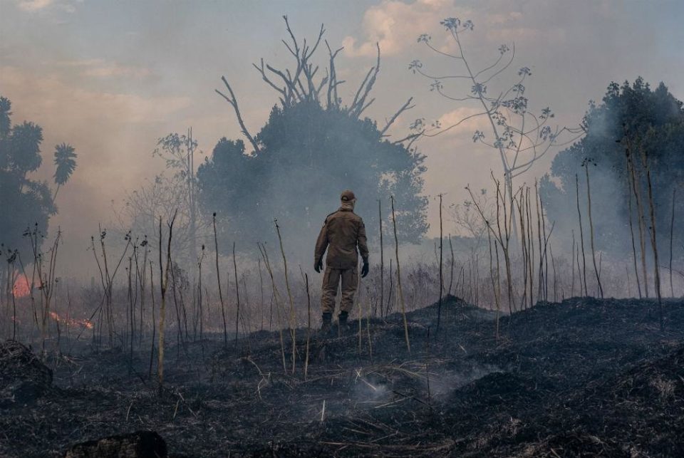 Brigadistas são acusados de queimadas, mas negam