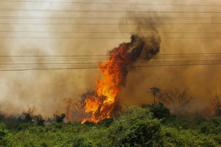 Pantanal tem maior número de incêndios para outubro em 17 anos