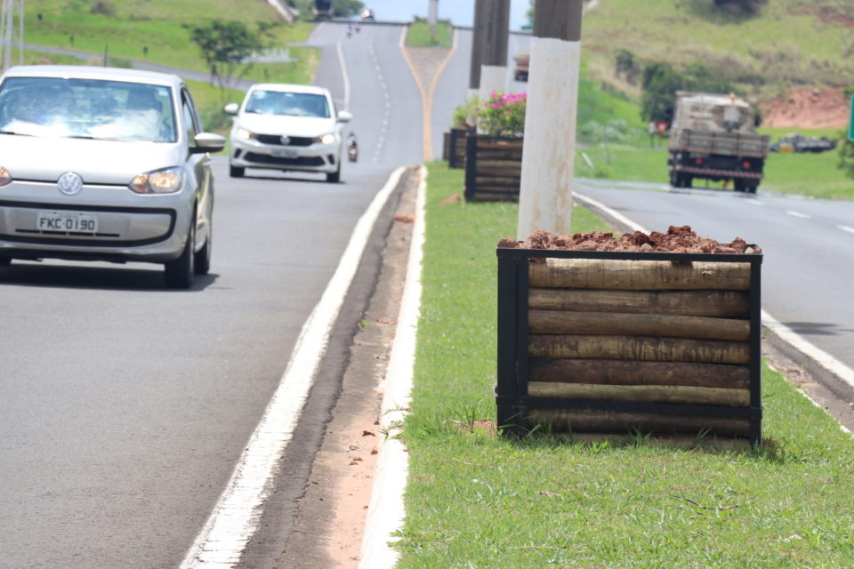 Flores da nova decoração da Av. Sanches Cibantos são furtadas