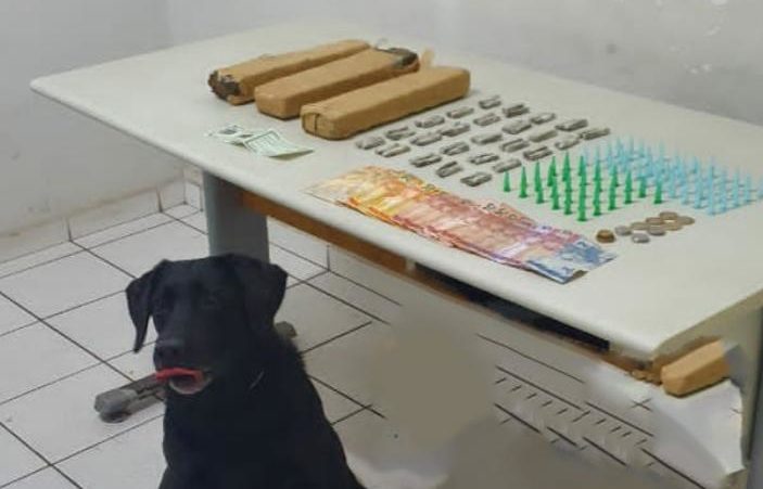 Acusado de tráfico oferece maconha para PM em troca de liberdade