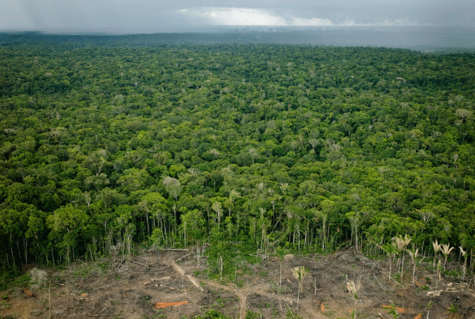 Nasa vê Amazônia mais seca e vulnerável