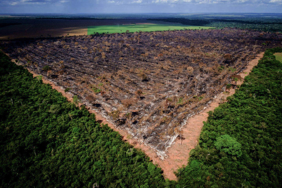 Desmate na Amazônia voltou a subir, apontam dados do Inpe