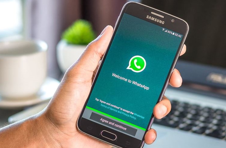 WhatsApp Business: empresas poderão ter ‘vitrine virtual’ no app