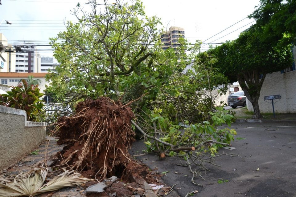 Região de Marília recebe alerta sobre perigo de tempestade