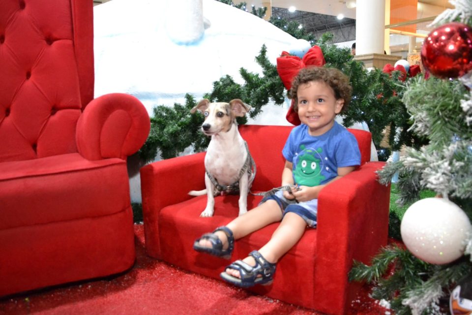 Pets também entram no clima de Natal no Marília Shopping