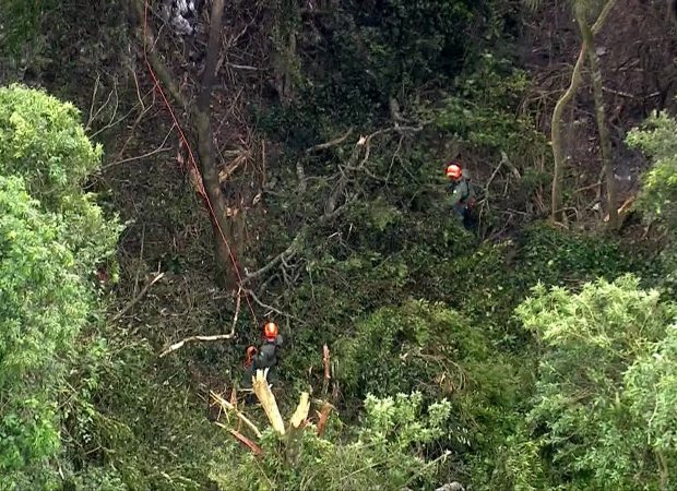 Avião cai na região da Serra da Cantareira em SP