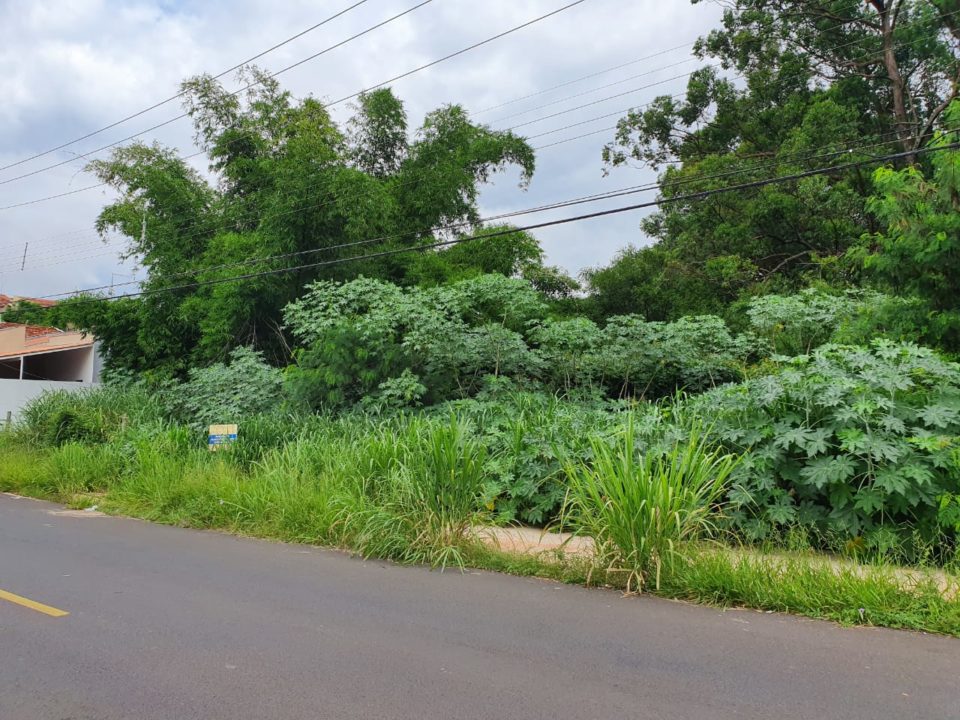 Prefeitura vai limpar área particular na zona Leste e cobrar donos