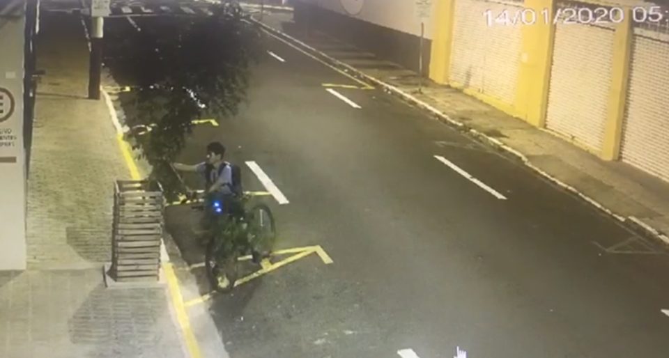 Vídeo de vandalismo contra árvore choca Marília