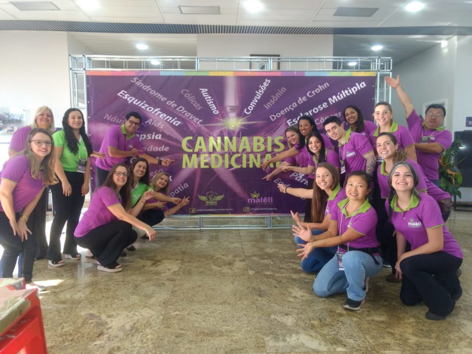 Marília terá primeira associação para promover maconha medicinal