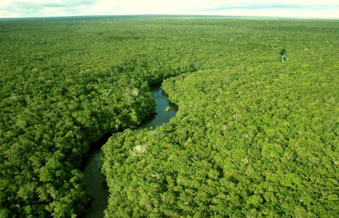 PGR estica por mais um ano força-tarefa Amazônia