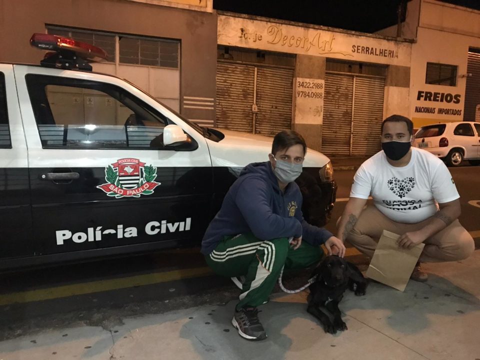 Rapaz denuncia maus tratos e resgata cachorro na zona Sul