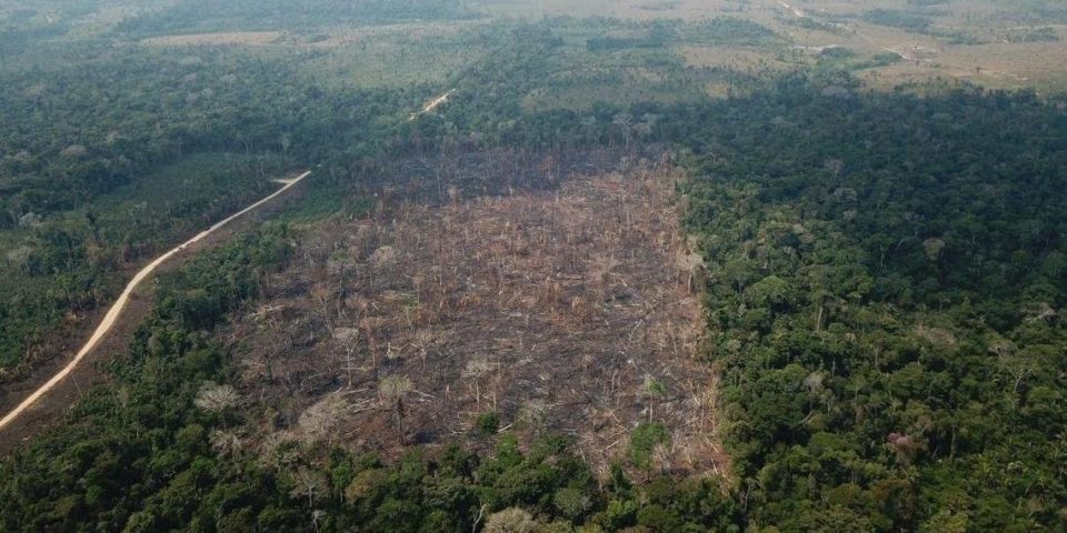 Desmatamento na Amazônia aumenta 64%