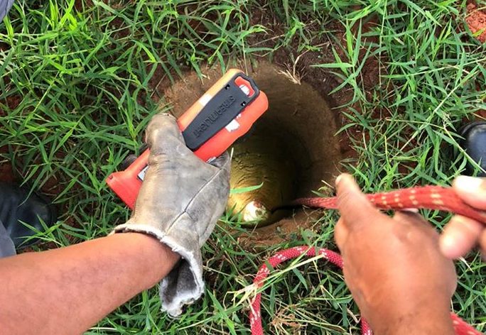 Bombeiros resgatam cachorra que caiu em buraco