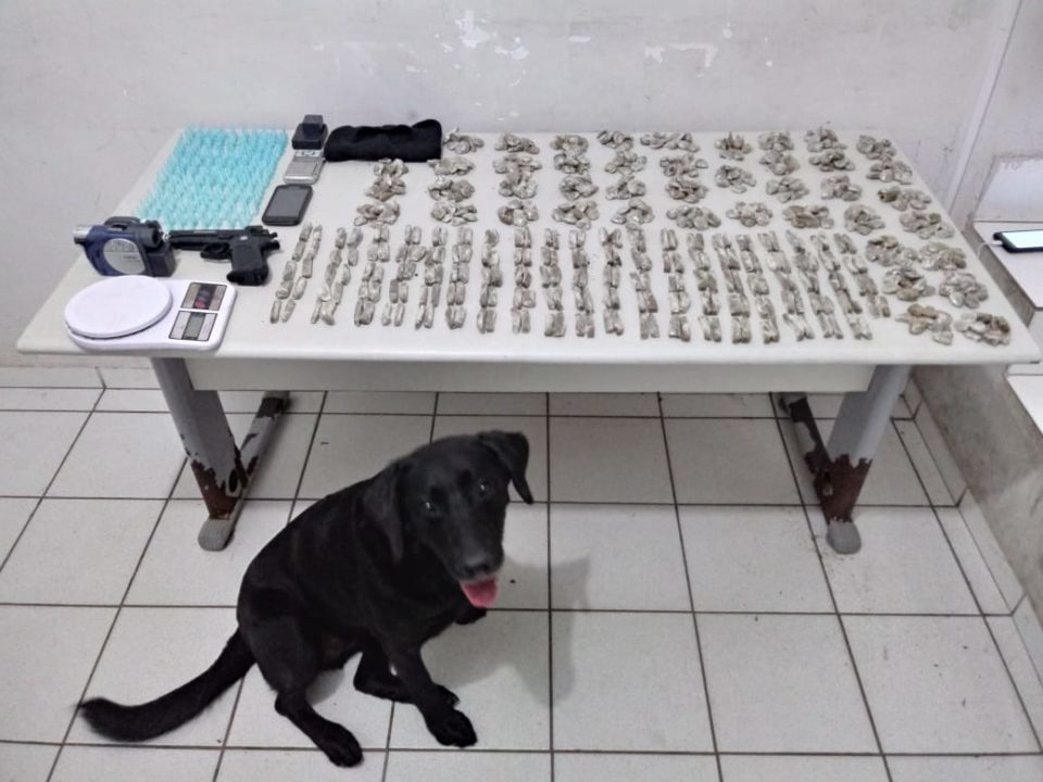 Ocorrências com armas e drogas diminuem em Marília