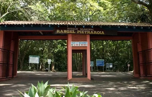 Prefeitura reabre Bosque somente para exercícios