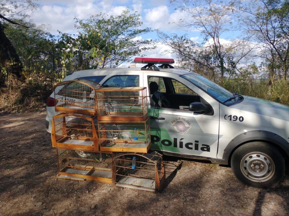 Polícia flagra aves em cativeiro na zona Norte