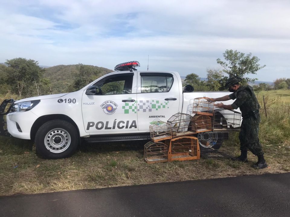 Polícia flagra oito aves em cativeiro em Garça