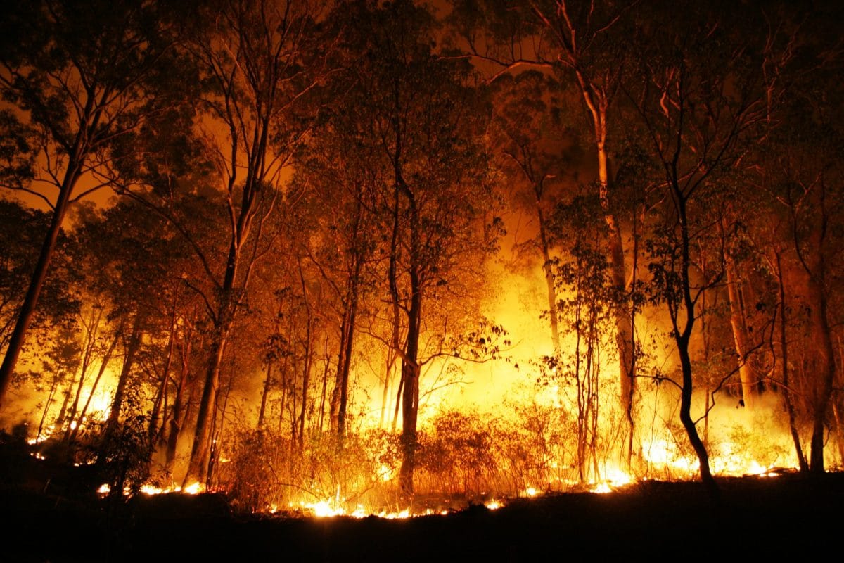 Defesa Civil alerta para risco de incêndio por conta das altas temperaturas no Estado de SP