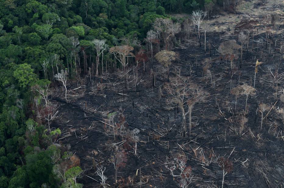 Salles suspende operações contra desmatamento na Amazônia