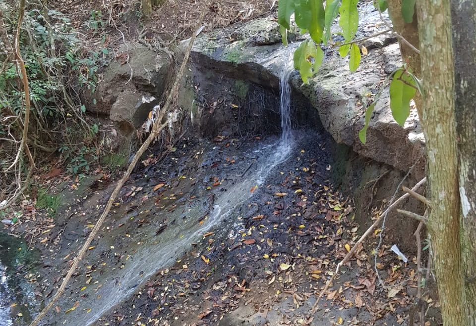 Córrego em Padre Nóbrega volta a ser contaminado com esgoto