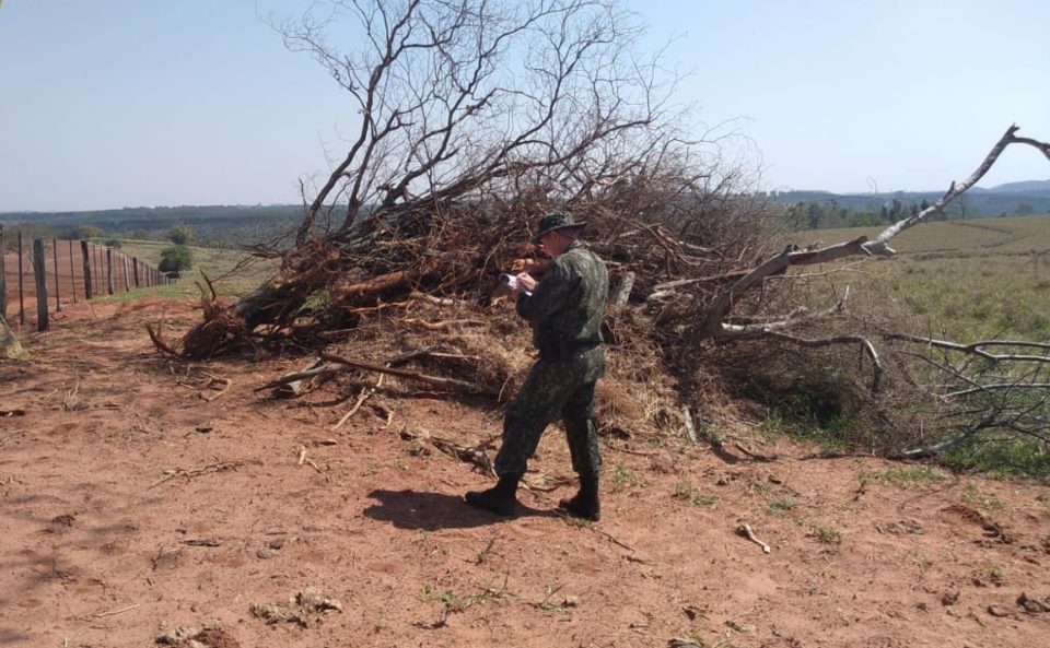 Fazenda leva multa de R$ 17 mil por destruir vegetação