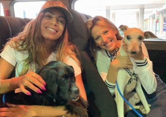 Anitta volta ao Brasil e adota cães cadeirante e cego