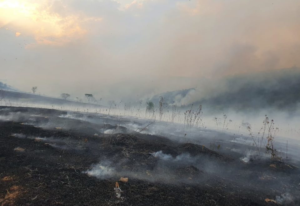 Incêndio destrói vegetação de fazenda em Garça