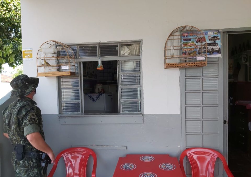 Dono de bar é multado por usar aves como atrativo