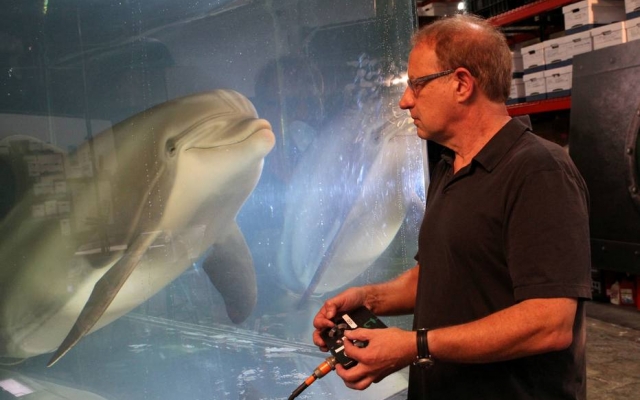 Golfinho-robô pode acabar com cativeiros de animais