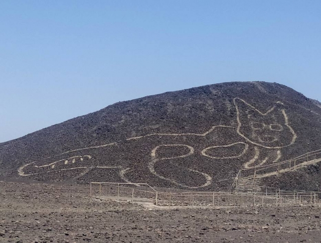 Gato de 37 metros é nova figura descoberta entre geoglifos