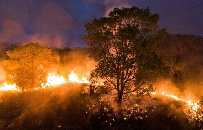 Fogo no Pantanal bate recorde e é o maior desde 1998