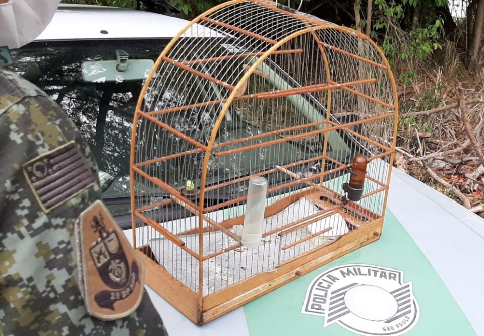 Polícia aplica multa por ave em cativeiro na zona Oeste