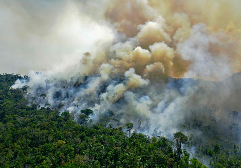 Nenhuma multa ambiental é cobrada no Brasil em um ano