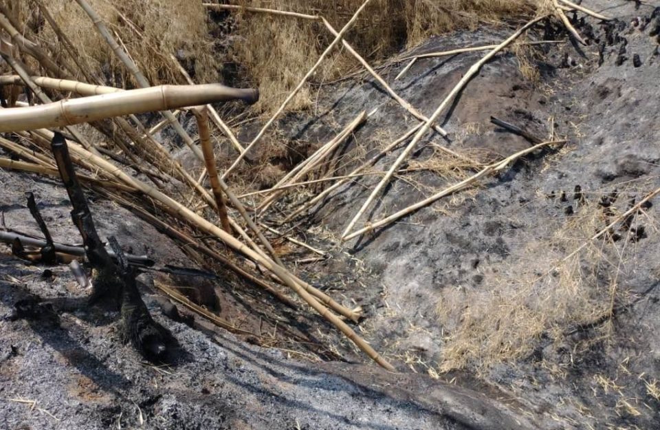 Sítio é multado por destruir e colocar fogo em vegetação