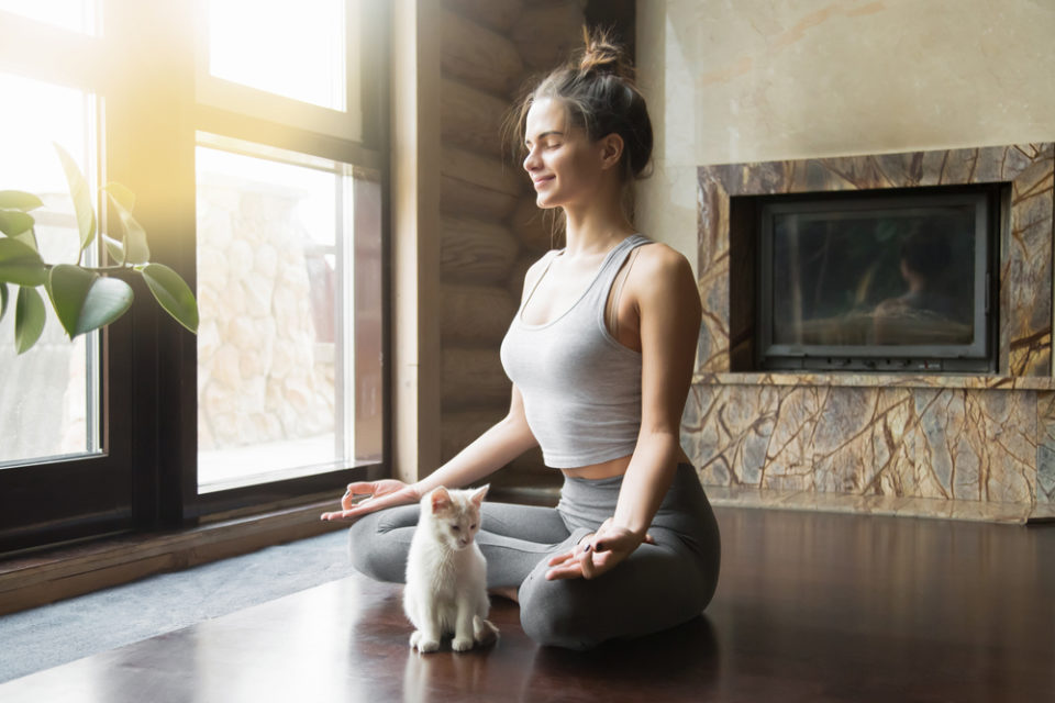 Buscas na internet por meditação batem recorde