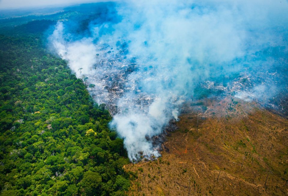 Desmatamento na Amazônia cresce 50% em outubro