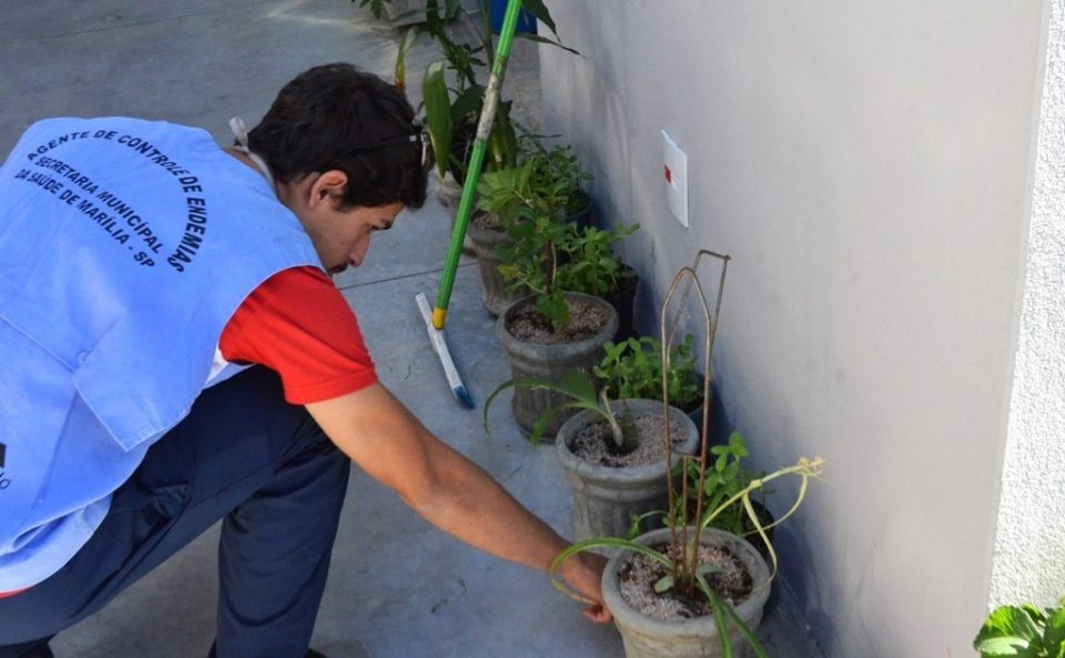 Casos de dengue caem pela metade em Marília ante 2019