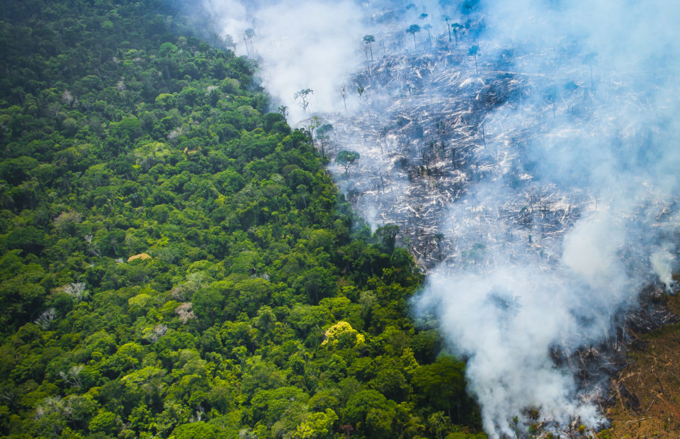 Queimadas tendem a piorar covid-19 em áreas de floresta