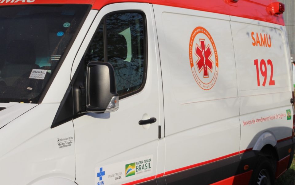 Agricultor morre ao ser picado por abelhas na região