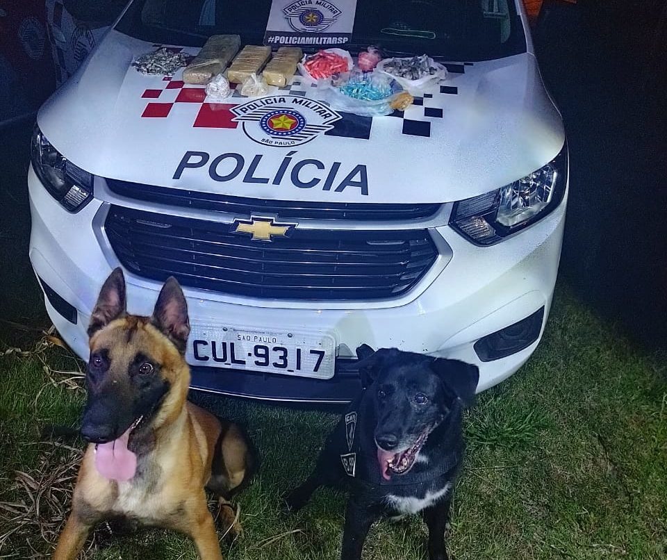 PM usa cães e apreende droga enterrada em Vera Cruz