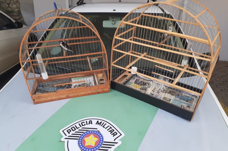 Polícia aplica multa após flagrar aves em cativeiro