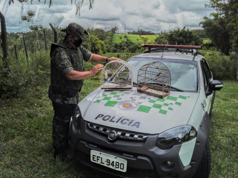 Polícia aplica multa após flagrar aves em cativeiro na zona Oeste