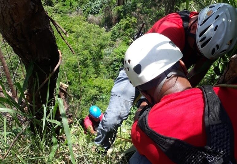 Bombeiros tentam resgatar homem e cachorros em penhasco