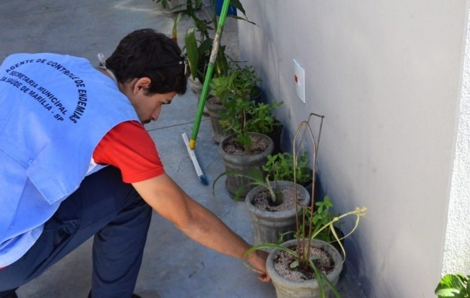 Marília está há um ano sem medir infestação do Aedes aegypti