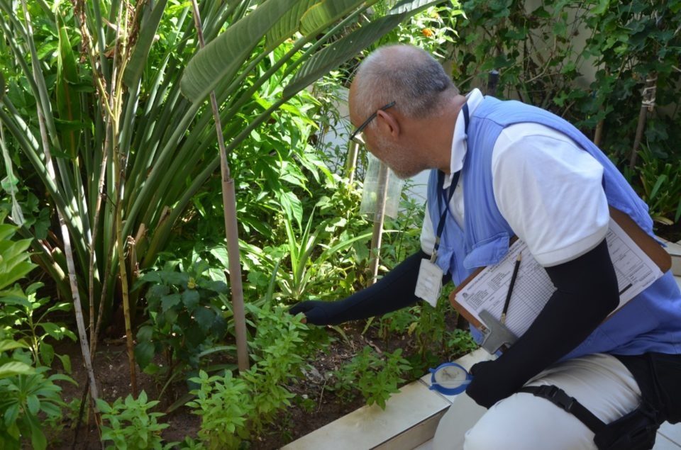 Marília confirma mais 48 casos de dengue em uma semana