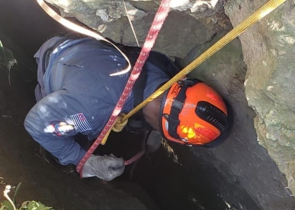 Bombeiros resgatam cachorra que caiu em fenda