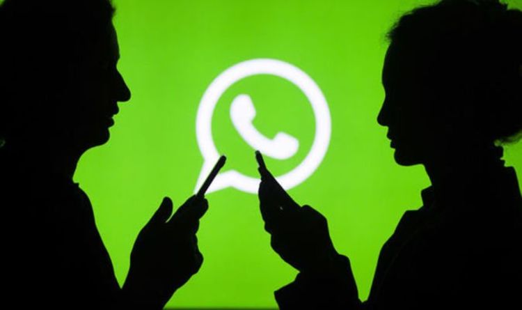 Startups miram oportunidades de negócios no WhatsApp