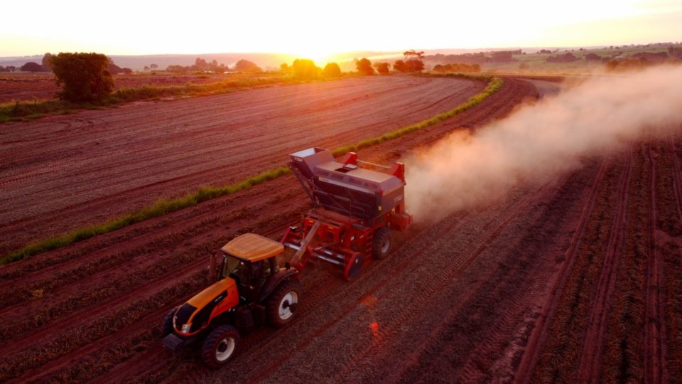 Preço anima produtores de amendoim na região