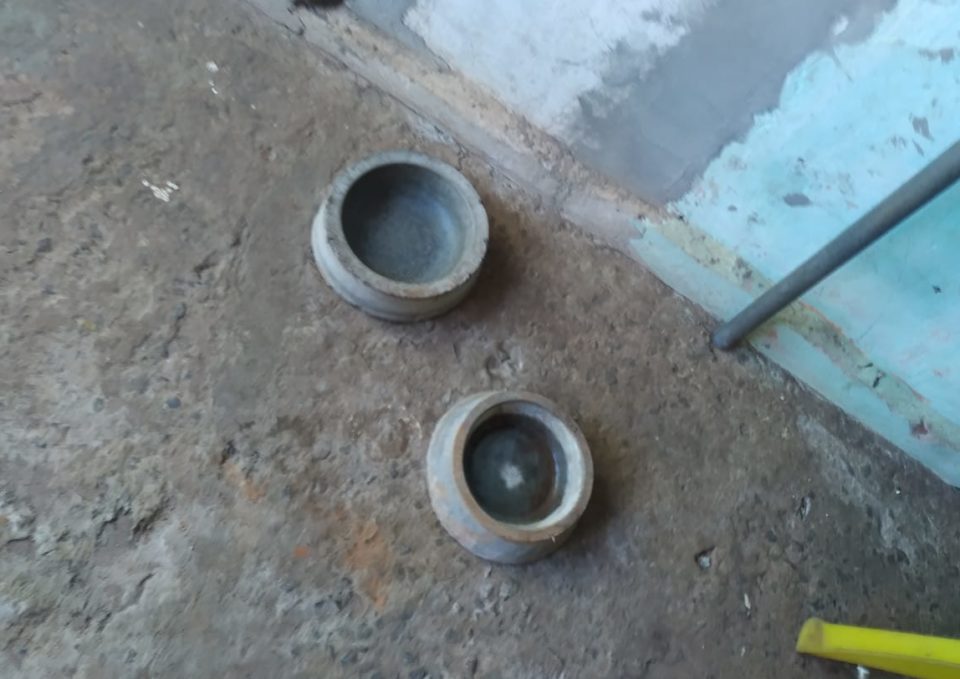 ONG resgata animal com sinais de maus-tratos